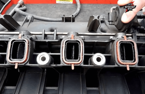 Swirl Flap Repair Near Me